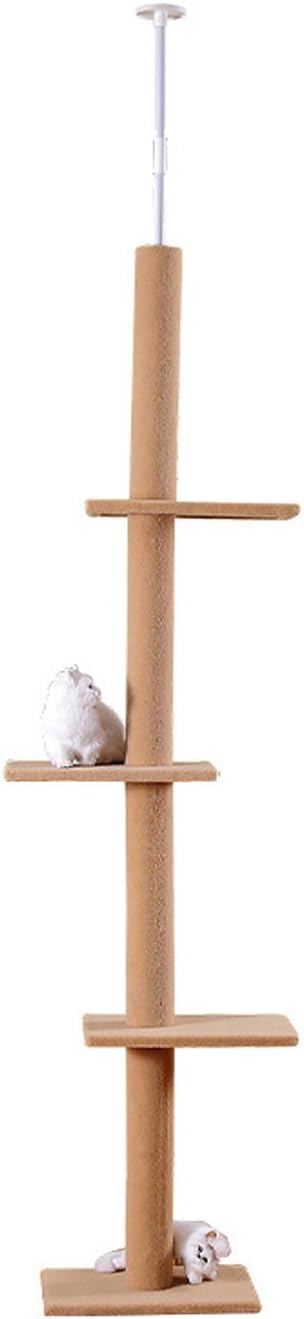 cat climbing tree amazon
