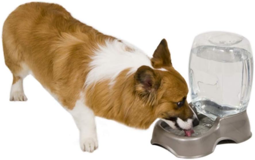 Petmate Pet Cafe Waterer Cat and Dog Water Dispenser 4 Sizes, 3 GAL, Pearl Tan: Pet Supplies