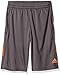 adidas Boys' Big Boys' Core Short, Granite/Unity Orange, Large/14-16