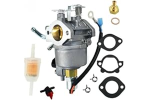 NZBAIQW Carburetor for Cummins Onan 4000 4KYFA-6747P 4000 W Generator Assembly
