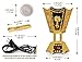 AM Electric Incense Bakhoor Burner Gold, 110V