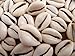 Cowrie Shells Cut (1 LB)