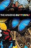 The Amazing Butterfly (Pack of 25) (Proclaiming the Gospel) by 