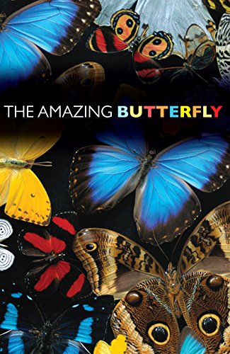 The Amazing Butterfly (Pack of 25) (Proclaiming the Gospel) by Crossway