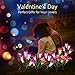 CCJK Solar Flower Lights, Solar Garden 8 Lily Flowers Stake Lights Outdoor,Solar ornaments, Mother's Day Gifts,Multi-Color Changing LED Solar Lights Decorative For Patio,Backyard(2 Pack, Purple & Red)