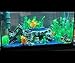 OrgMemory Fish Tank Decorations, Aquarium Décor Plastic Plants, (19pcs, 7.5″-14.5″), Plastic Aquariums Plantsthumb 2