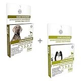 Bundle Bayer Quad Chewable Dewormer for Large Dogs, 45 lb and Over, 2 doses, 136 mg Each & Small Dogs and Puppies, 2-25 lb, 4 doses, 22.7 mg Each - Single Pack Each
