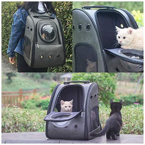 vans cat backpack ebay