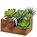 Assorted set of 3 Artificial Succulent Cabbage Echeveria Picks Faux Succulents 3 colors(green,soft green,plum green),3.6