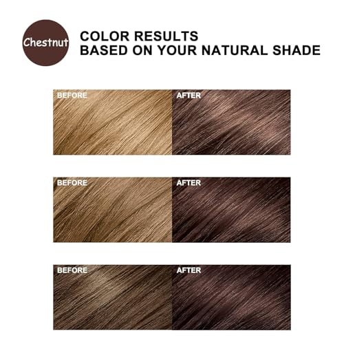 3 IN 1 CHESTNUT BROWN HAIR DYE FOR ALL HAIR TYPES, INSTANT DARKENING WITH LONG-LASTING NATURAL COLOR, 16.9 FL OZ