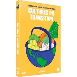 Cultures En Transition