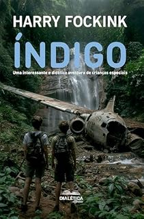 Livro Índigo: Uma interessante e didática aventura de crianças especiais