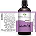 Plant Therapy Lavender Essential Oil 100 mL (3.3 oz) 100% Pure, Undiluted, Therapeutic Grade