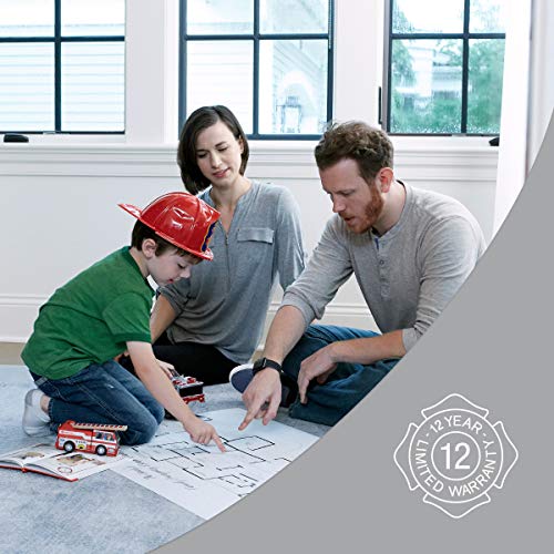 3 First+Alert+FE2A10GR+Large+Extinguisher