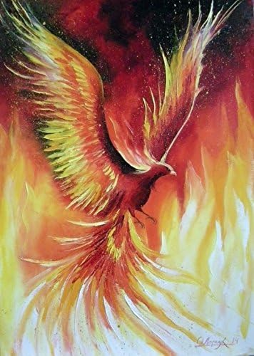 N.SunForest Canvas Picture Frame The Phoenix Fancy Bird Animal Prints Starry Decorative Canvas Wall Art Design 12"x 16"