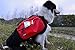 BINGPET Adjustable Dog Backpack for Hiking Camping Travel Pack Outdoor Accessory Saddlebag, Red M