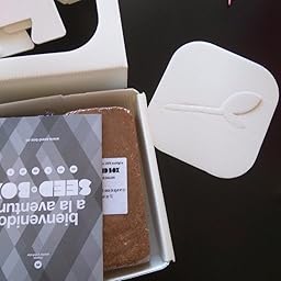 SeedBox SBCUOR-Oregano: Amazon.es: Jardín