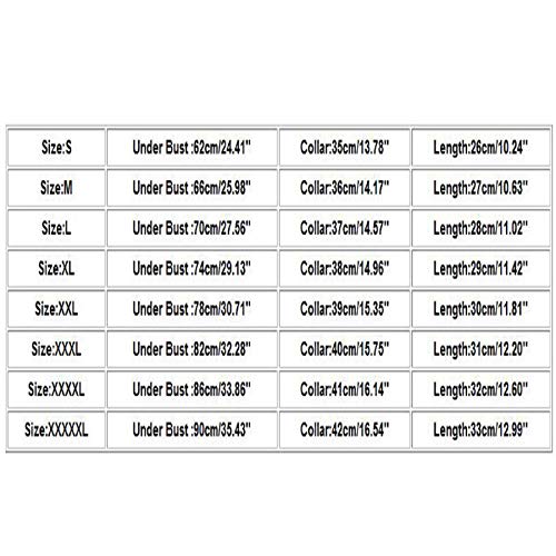 6 Womens+Sheer+See+Through+Sleeve+Blouse