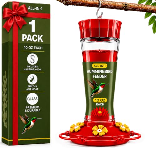 Glass Hummingbird Feeder