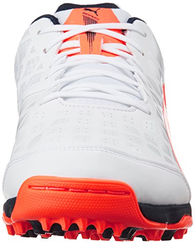 puma evospeed 3.4 cricket shoes