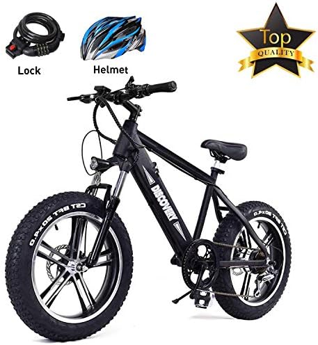 20'' Electric Bike Beach E-Bike 6-Speed Gear Mountain 300W Electric Bicycle with 48V 8Ah Lithium Battery,Lock and Charger