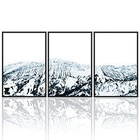 signwin 3 Piece Framed Canvas Wall Art Beautiful...