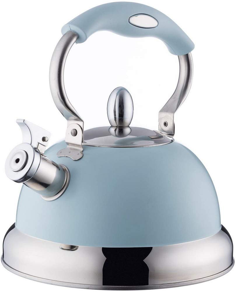 Typhoon Living Stovetop Whistling Kettle with Folding Handle, 2.5 Litre