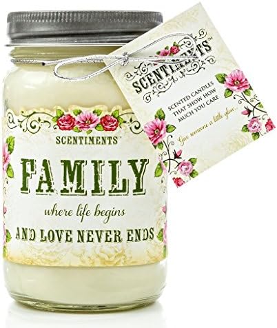 Scentiments FAMILY Gift Candle Cinnamon Scented Fragrance 16oz