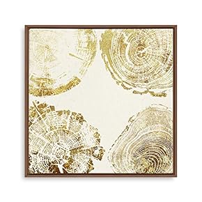 Framed Canvas Home Artwork Decoration Annual Ring Canvas Wall Art for Living Room, Bedroom - 16x16 inches