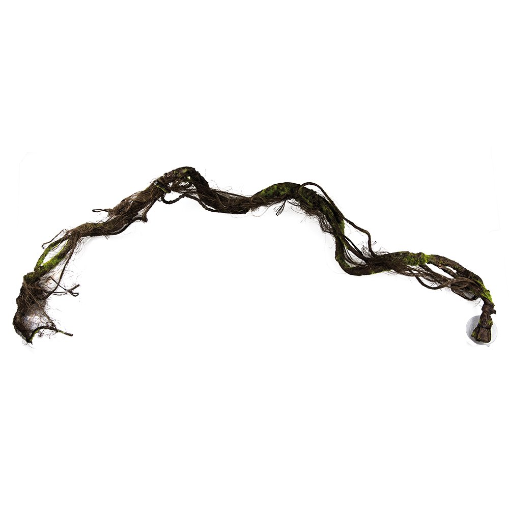 Hobby – Liana/liane L