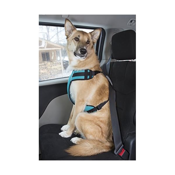 Vest Harnesses Teal Canine Friendly Vented Vest Harness Large