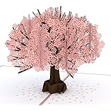Lovepop Cherry Blossom Pop Up Card, 3D Card, Birthday Card, Springtime Card, Summertime Card, Birthday Card