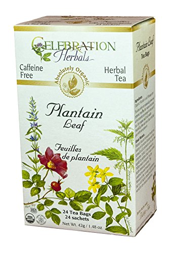 CELEBRATION HERBALS Plantain Leaf Organic 24 Bag, 0.02 Pound