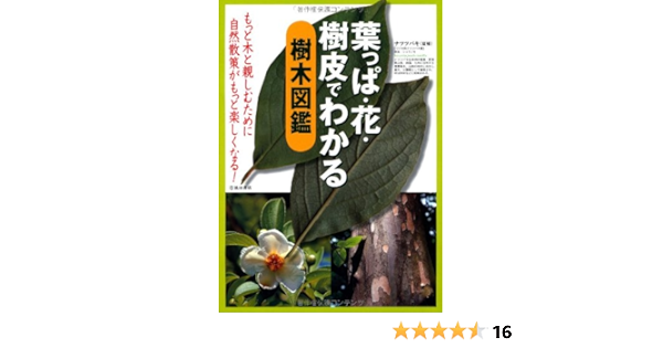 葉っぱ 花 樹皮でわかる樹木図鑑 もっと木と親しむために 自然散策がもっと楽しくなる 池田書店の園芸シリーズ Amazon Com Books