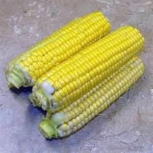 Amazon.com : 100 Seeds Golden Beauty Sweet Corn Seed Non-gmo, Hybrid