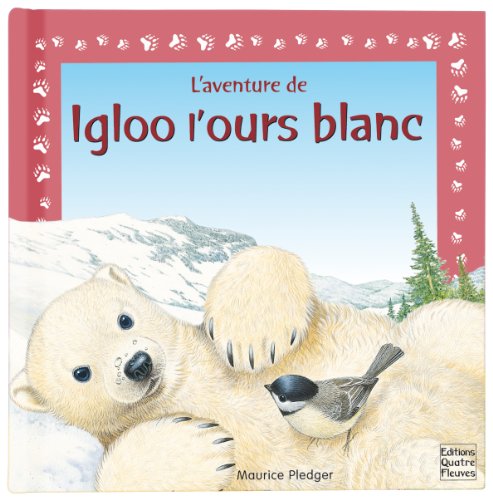 Igloo l'ours blanc