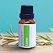 Lime Essential Oil by Simply Earth - 15 ml, 100% Pure Therapeutic Grade