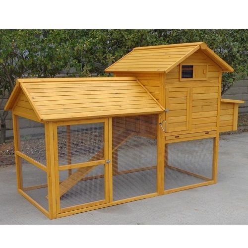 poulailler 10 poules amazon