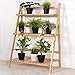 Giantex Bamboo Ladder Plant Stand, 3 Tier Folding Bamboo Plant Shelf, Foldable Flower Pot Display Shelf Rack, Multiple Plants Holder Organizer Storage Shelf for Indoor Outdoor Balcony Garden (Natural)