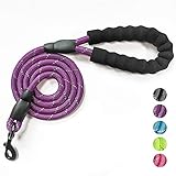 VLDCO 10 FT Strong Dog Leash Extra Heavy Duty Rock Climbing Rope Comfortable Padded Handle Highly Reflective Threads for Small Medium Large Dogs, 1/2 inch Diameter (Purple)