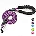 VLDCO 10 FT Strong Dog Leash Extra Heavy Duty Rock Climbing Rope Comfortable Padded Handle Highly Reflective Threads for Small Medium Large Dogs, 1/2 inch Diameter (Purple)