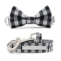 United Pups Modern Pups Black Gingham Plaid Collar with Bow Tie and Leash (Large)
