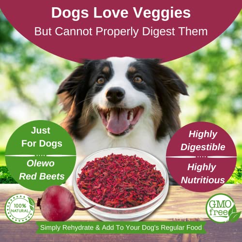 beets for dog allergies