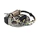 HIFROM 90cc 110cc 125cc Pit Dirt Bike STATOR Plate Pickup Magneto Coil Rotor PITBIKE