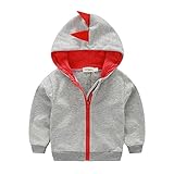 CANIS Baby Boys Toddler Long Sleeve Dinosaur Hoodies Zip-up Jacket