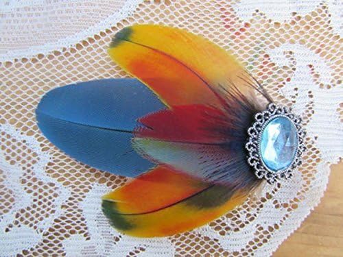 Multi-colored Parrot Spring Festive Feather Hair Fascinator or Hair clip Macaw Cage decorations Parrot Toy