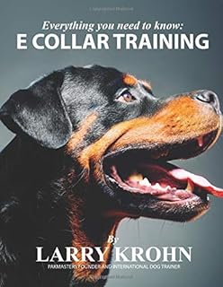 best e collar training video