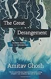 The Great Derangement: Climate Change and the Unthinkable (Berlin Family Lectures)