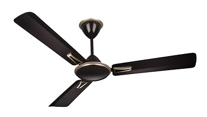 Buy Finolex Cassandra High Speed Decorative Wide Blade Ceiling