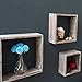 EZOWare Floating Shelves, Set of 3 Rustic Torched Wood Cube Square Storage Wall Decorative Display Shelves - Brown